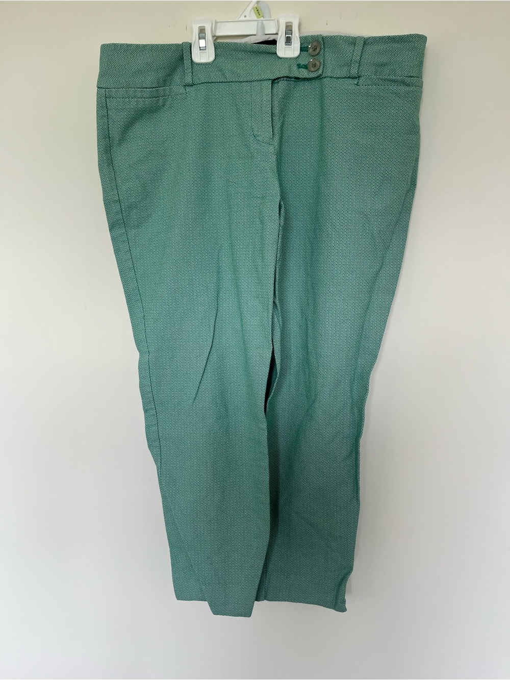 The Limited Seafoam Green Cropped Straight-Leg Pants